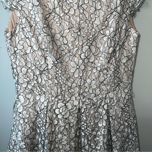 Eliza J Cream & Black Lace Cocktail Dress with Pockets Size 4 - Picture 3 of 15